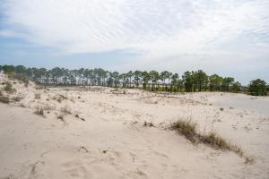 a sandy beach with trees in the background at Blue Haven - 1414 Oleander in Dauphin Island