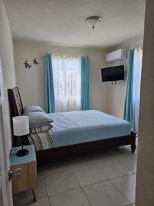 a bedroom with a bed with blue curtains and a television at Sandy Cove in Christ Church +23 photos