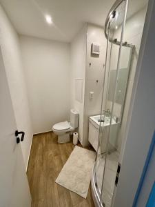 a bathroom with a toilet and a glass shower at Apartmán Mlynská in Vranov nad Topľou +2 photos