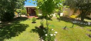 a garden with a small tree in the yard at ARROYO SERRANO-MINA CLAVERO in Mina Clavero