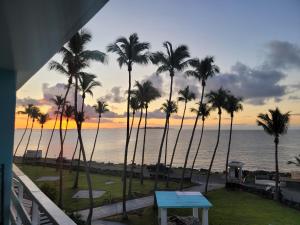 a view from the balcony of a resort with palm trees at Sea For Yourself in Fajardo
