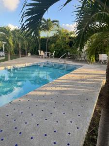 a swimming pool with blue water and palm trees at The Palms apt 2 in Cedar Grove