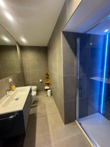 a bathroom with a shower and a sink and a toilet at Luxury Rooms Soraja in Palermo