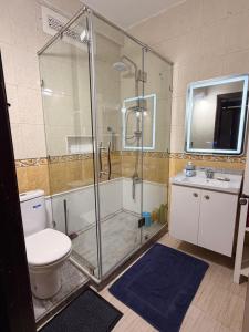a bathroom with a shower and a toilet and a sink at Entire Ocean-View Apartment in Rabat +10 photos