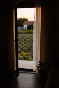 an open door with a view of a field of flowers at Lavender farm Zarić in Porosanica