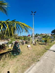 a park with a palm tree and a street light at Lar Doce Estadia in São Pedro da Aldeia