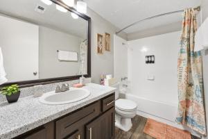 a bathroom with a sink and a toilet and a shower at Emerald Loft - Pool, Gym & Free Parking! in Dallas