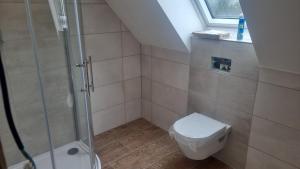 a small bathroom with a shower and a toilet at Lewitz-Urlaub in Lübesse
