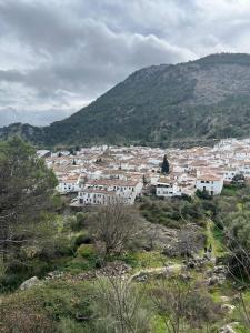 a view of a town with a mountain at Los Llanos del Campo in Grazalema