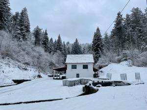 a small white house in the snow with trees at WOOD hOUSE in Vrbovsko