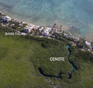 an aerial view of the shoreline of a beach at Beachfront 2BR Condo in Bahía Tankah, Tulum in Tancah +29 photos