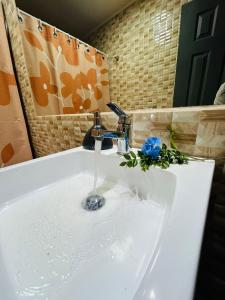 a bathroom sink with water running from a faucet at Parcela Traitraico, Coñaripe in Coñaripe +57 photos
