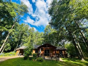 a log cabin in the woods with trees at Parcela Traitraico, Coñaripe in Coñaripe