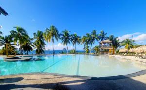 a large swimming pool with palm trees and the ocean at TI diamant CHERRY in Le Diamant