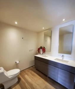 a bathroom with a toilet and a sink and a mirror at Departamento Andares in Guadalajara