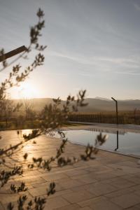 ein Blick auf einen Wasserpool mit einem Baum in der Unterkunft Hotel Dado in Grude