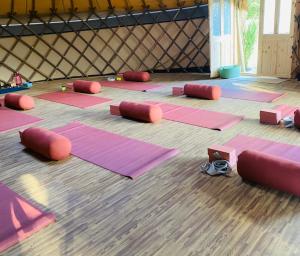a yoga class with pink mats on the floor at JOY Retreat in Isle of Jersey