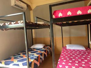 two bunk beds in a dorm room with a bed at The Panda Backpacker Hostel in Kampot