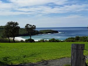 a green field with a view of the ocean at Sea La Vie in Shellharbour +2 photos