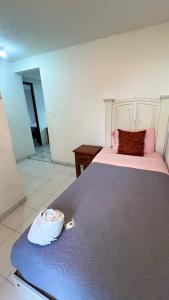 a bedroom with a bed with a basket on it at Hostal Mago in Tlaxcala de Xicohténcatl +23 photos