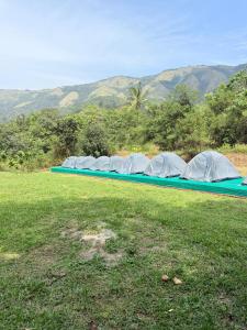a row of tents in a field with mountains in the background at Calm coorg tent in Madikeri