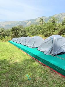 a row of tents lined up in a field at Calm coorg tent in Madikeri