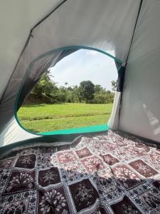 a view from inside of a tent with a window at Calm coorg tent in Madikeri