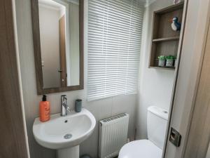 a bathroom with a sink and a toilet and a mirror at Trewan Chalet in Holyhead +14 photos