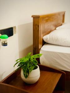 a plant sitting on a table next to a bed at Delmar Homestay in Dickwella