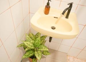a bathroom sink with a green plant next to it at MiTS in Bandung +41 photos