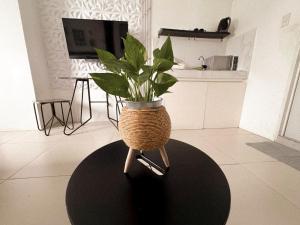 a plant in a pot on a stand in a living room at BES Building in Dasmariñas