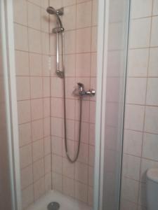 a shower with a hose in a bathroom at Pension Jitka in Šimonovice +48 photos