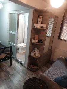 a bathroom with a shower and a toilet and a mirror at Boutique hotel in Poti