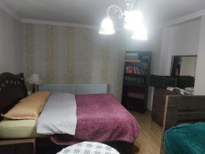 a bedroom with a bed and a book shelf at Boutique hotel in Poti