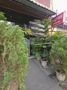 a row of potted plants in front of a store at Hotel Right Choice in Indore