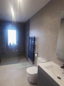 a bathroom with a toilet and a sink and a window at Willow in Clifden