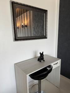 a black cat sitting on a desk under a mirror at Apartment Saturn in Galaţi