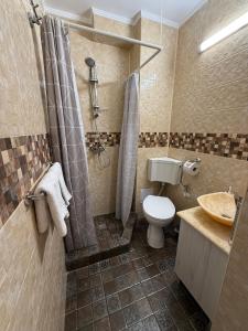 a bathroom with a toilet and a shower and a sink at Apartment Saturn in Galaţi