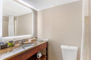 a bathroom with a sink and a toilet and a mirror at MainStay Suites Lansing West in Lansing +18 photos