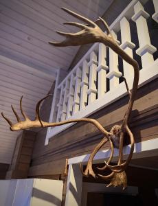 a pair of antlers hanging from a stair railing at ReindeerCabin PoroMökki LEVI in Kittilä
