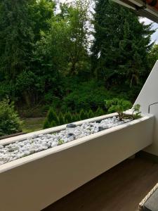 a gardenificialificialificialificialificialificialificialificialificialificialificialificialificialificial at Apartment Ypsilon am Grün in Bayreuth