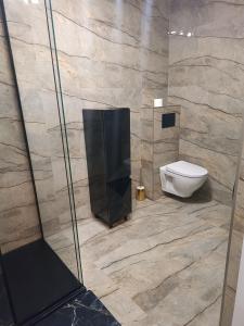 a bathroom with a toilet and a glass shower at Perła Residence in Kutno