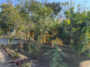 a garden with trees and a yellow building at Hostel Jungle Beats in Sauraha