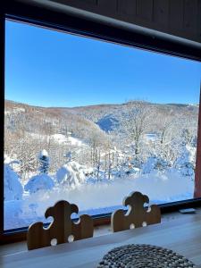 a window with a view of a snow covered yard at Pod Srebrzystym Świerkiem - Jacuzzi in Koszarawa