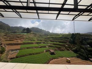 an aerial view of a field of crops at Rozana Retreats Ooty in Ooty