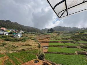 an aerial view of a field of crops at Rozana Retreats Ooty in Ooty +25 photos