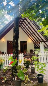 a house with potted plants in front of a tree at The Hideaway Sigiriya in Sigiriya +17 photos