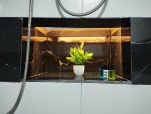 a potted plant sitting on a counter in a bathroom at The Hideaway Sigiriya in Sigiriya
