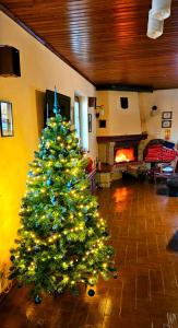 a christmas tree in a living room with a fireplace at Chata Bella in Smižany