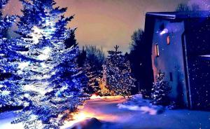 a christmas tree in a yard with blue lights at Chata Bella in Smižany
